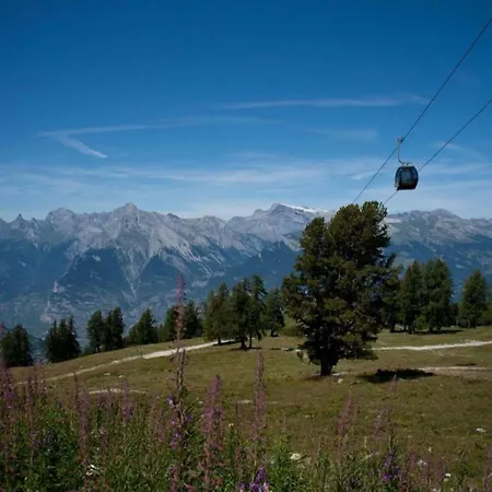 Cozy For Groups Veysonnaz