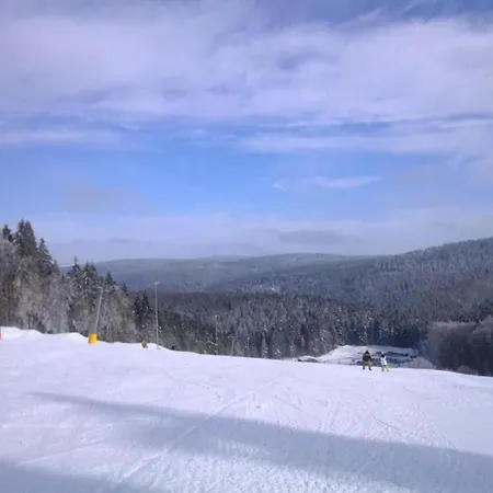 Cozy For Groups * Veysonnaz