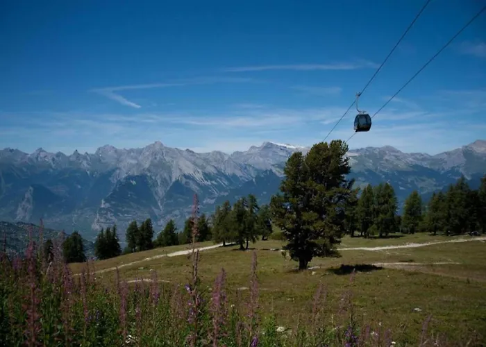 Cozy For Groups ヴェゾナ