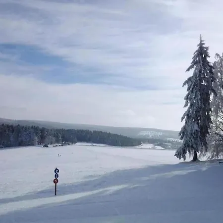 Cozy For Groups * 베이소나츠